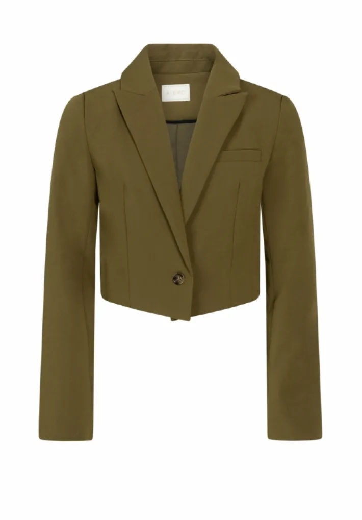 AAIKO Jackets | Jackets<Ariel Blazer Groen