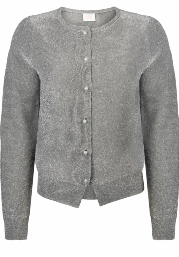 AAIKO Party Collection | Knitwear<Beth Vest Zilver