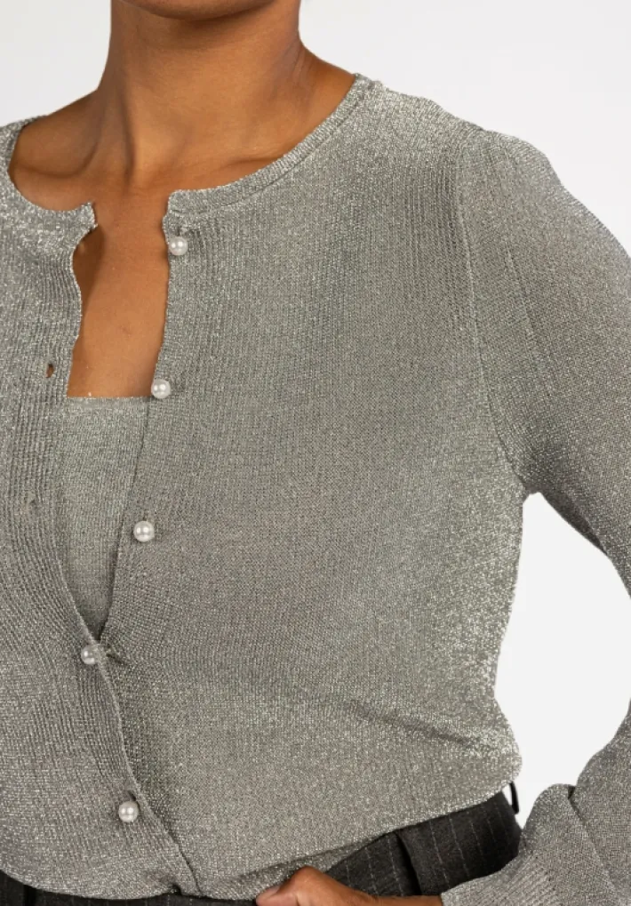 AAIKO Party Collection | Knitwear<Beth Vest Zilver