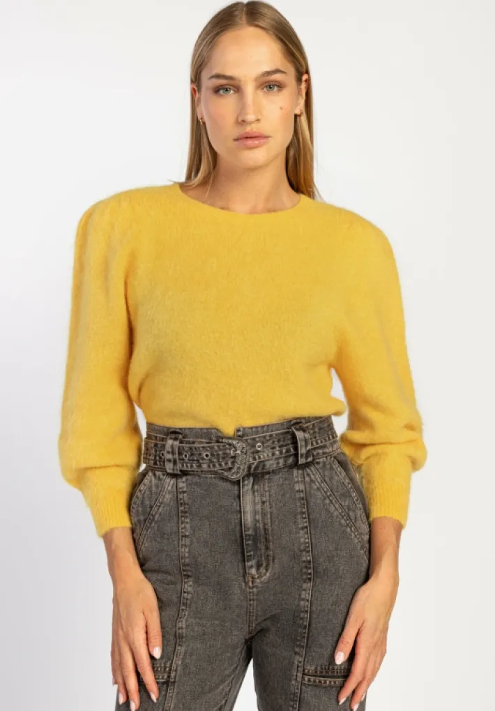 AAIKO Knitwear<Denize Trui Geel