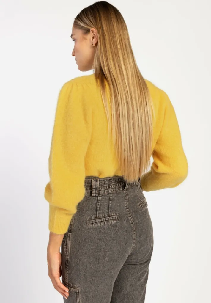 AAIKO Knitwear<Denize Trui Geel