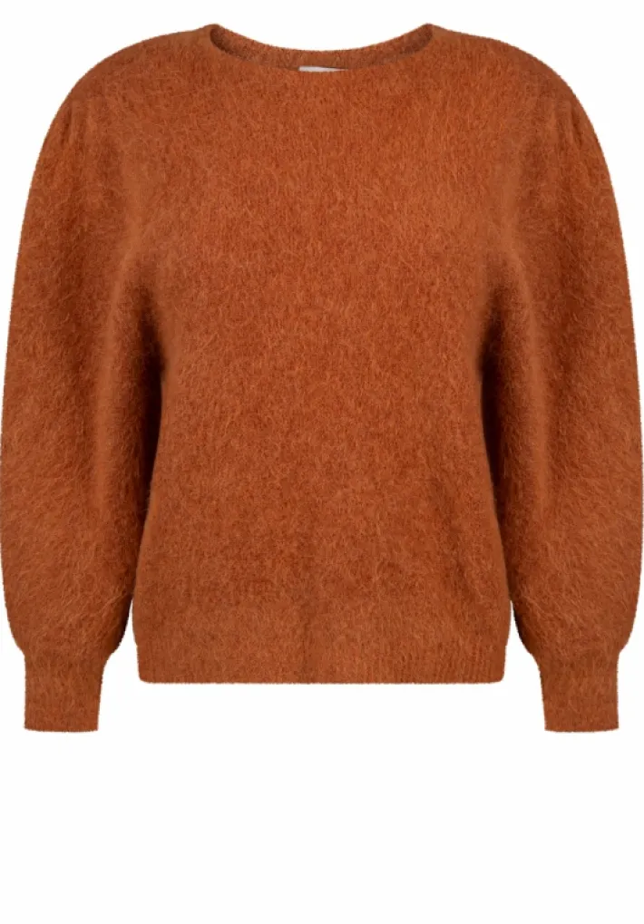 AAIKO Knitwear<Denize Trui Roest