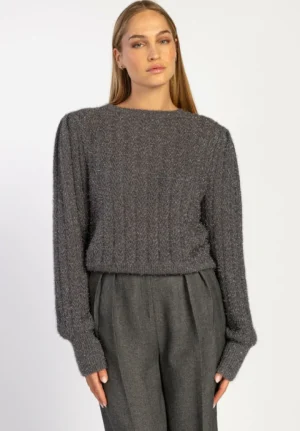 AAIKO Party Collection | Knitwear<Femme Trui Grijs
