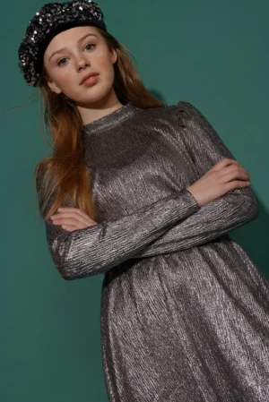 AAIKO Dresses | Jurken<Nimra Jurk Zilver